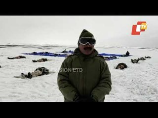 ITBP Jawans 'Himveers' Perform Yoga At Altitude Of 18,000 Ft In Ladakh