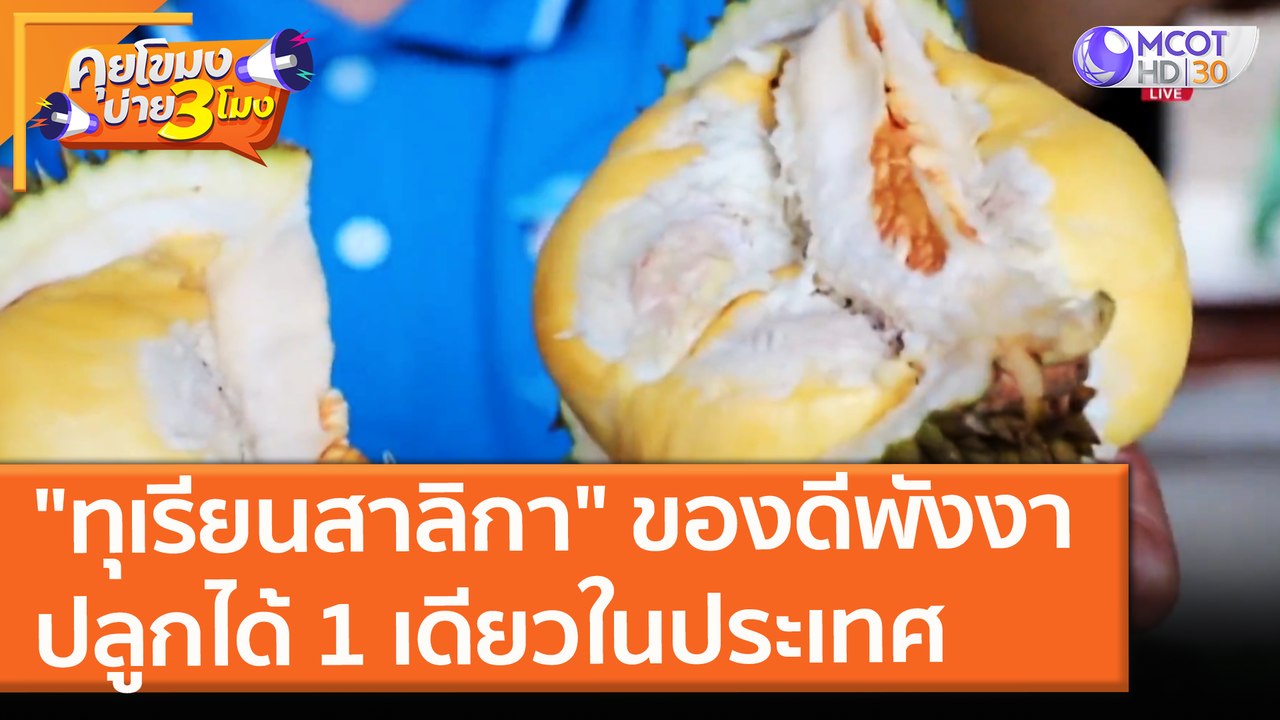 "ทุเรียนสาลิกา" ของดีพังงา ปลูกได้ 1 เดียวในประ...