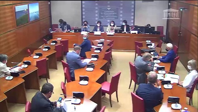 Commission du développement durable : Présentation des conclusions de la mission « flash » visant à comparer les expériences européennes de zones à faibles émissions mobilité (ZFE) - Mardi 29 juin 2021
