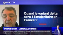 Gérard Dubois (membre de l'Académie de médecine) estime que le variant Delta sera majoritaire en France d'ici 