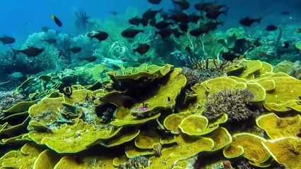 15 Mysterious Artifacts Found Underwater