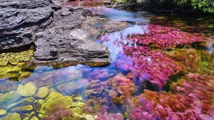 15 Epic Natural Wonders on Earth