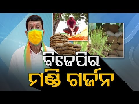 BJP Targets Odisha Government Over Paddy Procurement, Mandi Mismanagement
