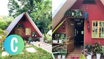 This Family Built A Tiny House With An Indoor Pool, Mini Forest, And Tree House For P350,000