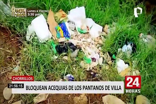 Acequias de Pantanos de Villa en peligro: MML viene tomando acciones para su cuidado