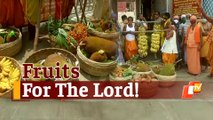 Puri Srimandir: Ailing Lord Jagannath & Sibling Deities Receive Fruit Offerings