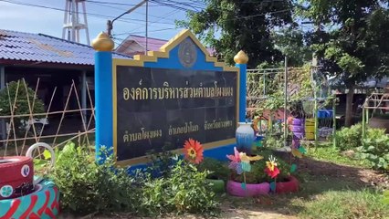 อ่างทอง ฮือฮาปลัด อบต ดังสั่งย้ายโต๊ะทำงานปรับภูมิทัศน์รับเลือกตั้งนายกถูกนำไปลงในโลกโซเชียล