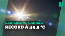 En pleine canicule au Canada, des dizaines de 