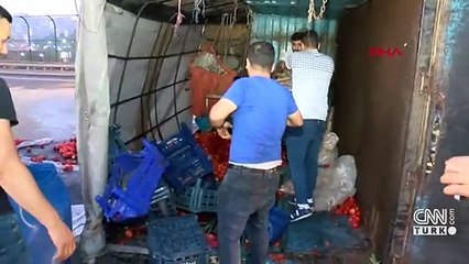 TEM Otoyolu'nda domates yüklü kamyonet devrildi: 3 yaralı