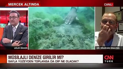 Müsilajlı denize girilir mi? Canlı yayında korkutan sözler