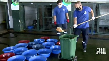 Restoran artıkları barınak hayvanlarına öğün oluyor