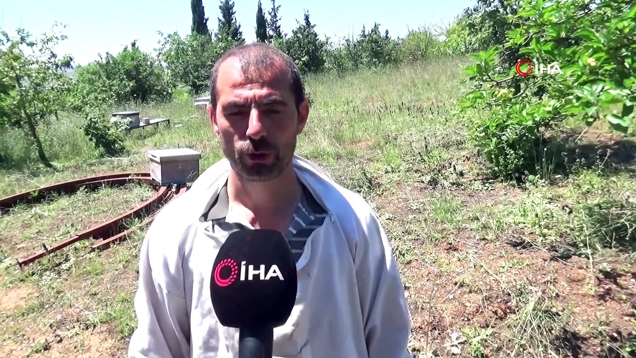 Arılarla başı dertte olan mahalleliyi polis kurtardı