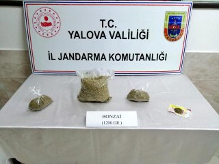 Otobüsle uyuşturucu nakline jandarma engeli