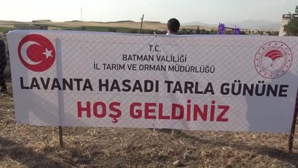 Batman'da lavanta hasadı yapıldı