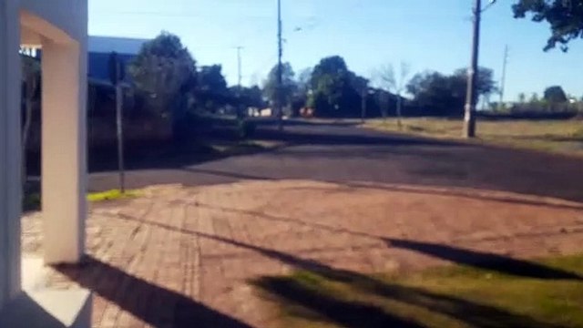 Risco de acidente: Motoristas fazem alerta para cavalos soltos no Bairro Periolo