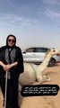 الفنانة أمينة العلي تتلقى ناقة هدية من رجل أعمال سعودي