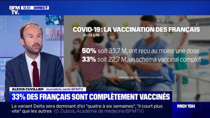 Covid-19: 33% des Français sont complètement vaccinés