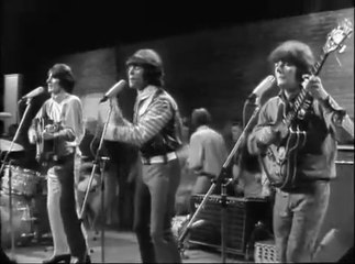 Dave Dee, Dozy, Beaky, Mick & Tich - Hold tight 05-28-1966
