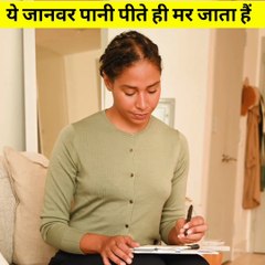 कौन सा जानवर पानी पीते ही मर जाता है #Shorts