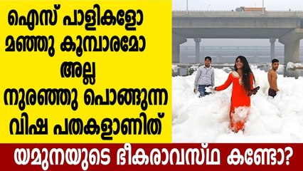 Toxic Foam Floats On Surface Of River Yamuna In Delhi; Alarming Video Shared On Internet