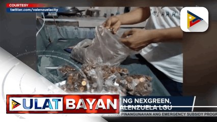 Business permit ng NexGreen, sinuspinde ng Valenzuela LGU; Empleyadong nakatanggap ng sweldo na puro barya, hinarap ang employer