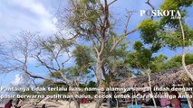 Menikmati Pantai Tengket Bangkalan, Madura, Indah Alamnya Putih Bersih Pasir Pantainya