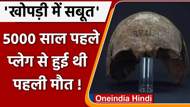 Plague: दुनिया में 5000 सालों से मौजुद है Plague महामारी, इंसानी खोपड़ी से मिले सबूत ।वनइंडिया हिंदी