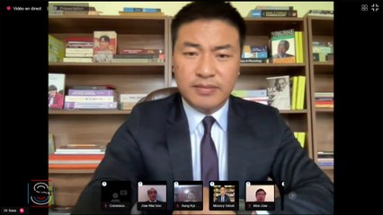 Birmanie : Au Sénat, l'appel à l'aide du gouvernement birman en exil