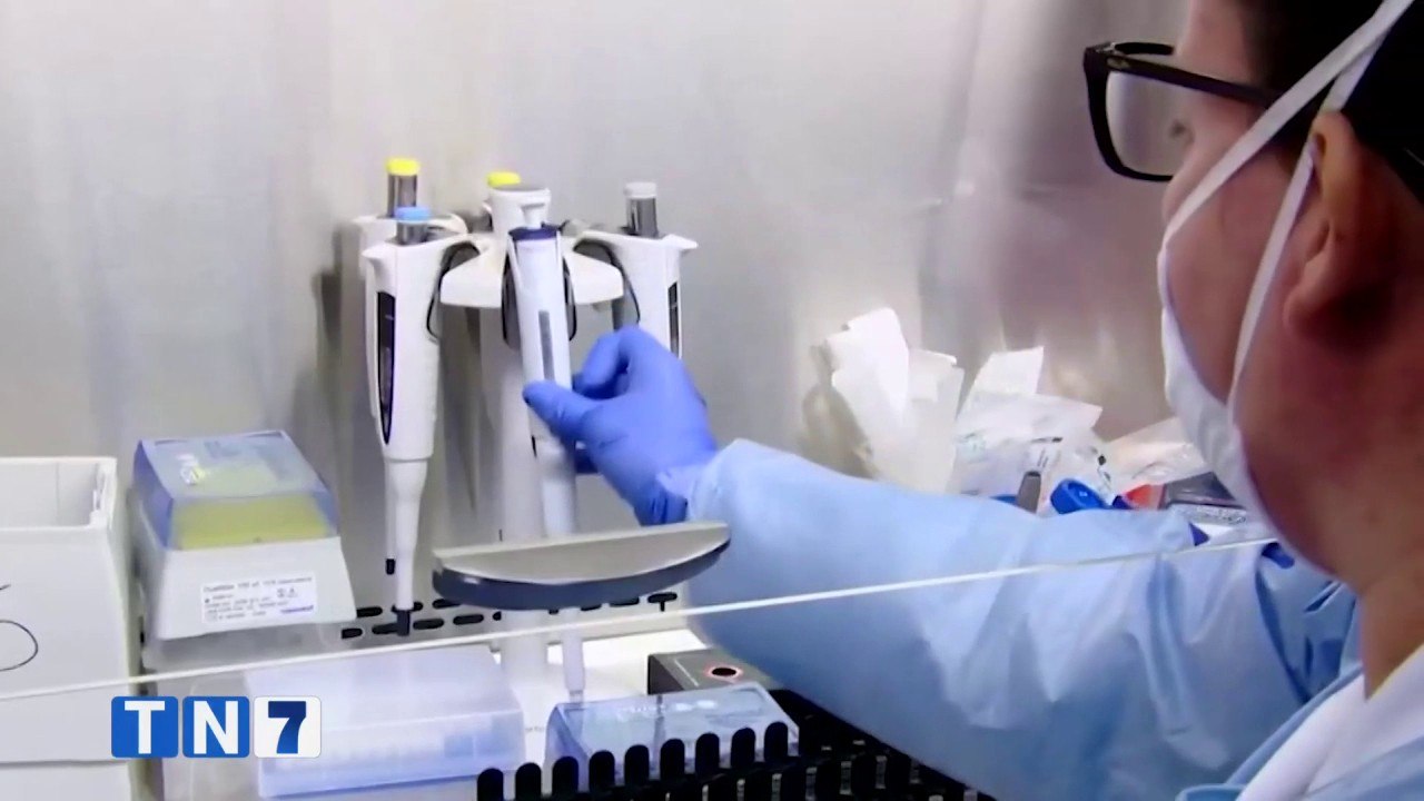 tn7-testeos-masivos-son-claves-para-mitigar-covid-19-300621