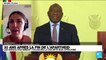 Afrique du Sud : Quel est l’héritage de Mandela 30 ans après la fin de l’apartheid ?
