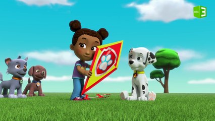 مارشال والطائرة الورقية العالقة