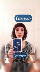 Festival Vieux Lyon en humanité - actu associative (expo + atelier créatif) D'AMOUR ET D'EAU DE SOURCE