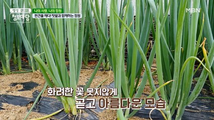 편견을 깨다! 텃밭과 함께하는 정원