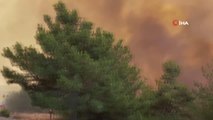 Manavgat-Konya yolunda orman yangını20 hektar ormanlık alanın zarar gördüğü yangın kontol altına alındı