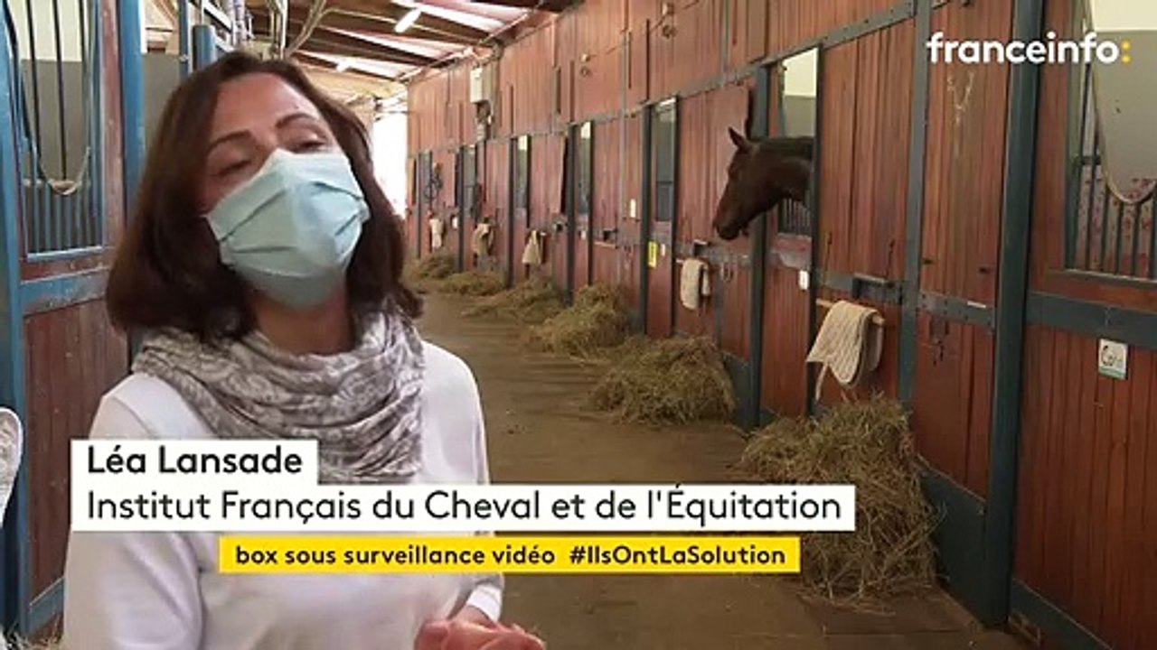 Pour mieux les protéger, les chevaux de l'École nationale d'équitation sont désormais filmés