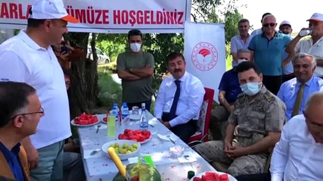 IĞDIR - 'Doğu'nun Çukurovası'nda karpuz hasadı başladı