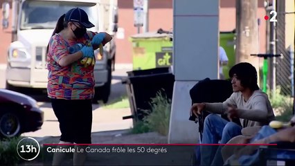 Canicule : l'ouest du Canada frôle les 50 degrés