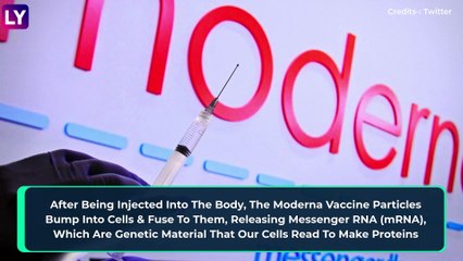 India Gives Nod To Moderna mRNA Covid-19 Vaccine, Cipla To Import Under Emergency Use