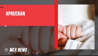 APRUEBAN REPRODUCCIÓN ASISTIDA A LESBIANAS EN FRANCIA