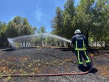 Akseki'de mezarlıkta yangın çıktı