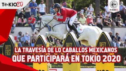 La travesía de lo caballos mexicanos que participará en Tokio 2020