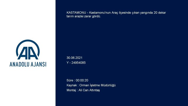 KASTAMONU - 20 dekar tarım arazisi yangında zarar gördü