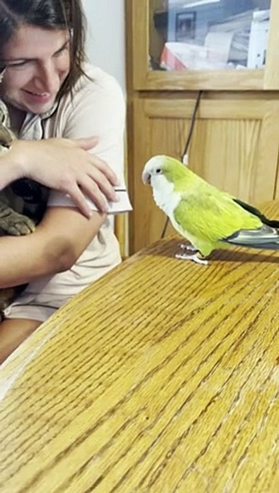Talking Bird Tells the Truth