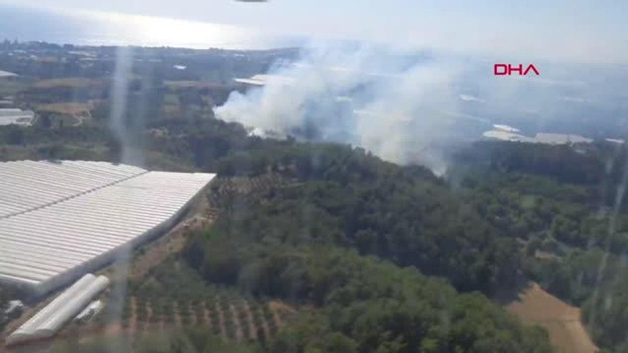 Son dakika haberi! ALANYA'DA ORMAN YANGINI BÜYÜMEDEN SÖNDÜRÜLDÜ