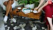 How To Build A Coffee Table - 10 Easy And Cheap Diy Projects