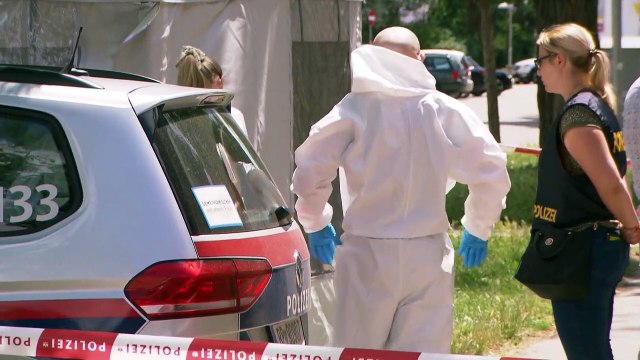 Αυστρία: Στο προσκήνιο οι παραβατικοί αιτούντες άσυλο