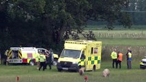 Light aircraft crash near Goodwood. Video: Eddie Mitchell