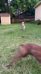 Baby and puppy besties love playing outside together