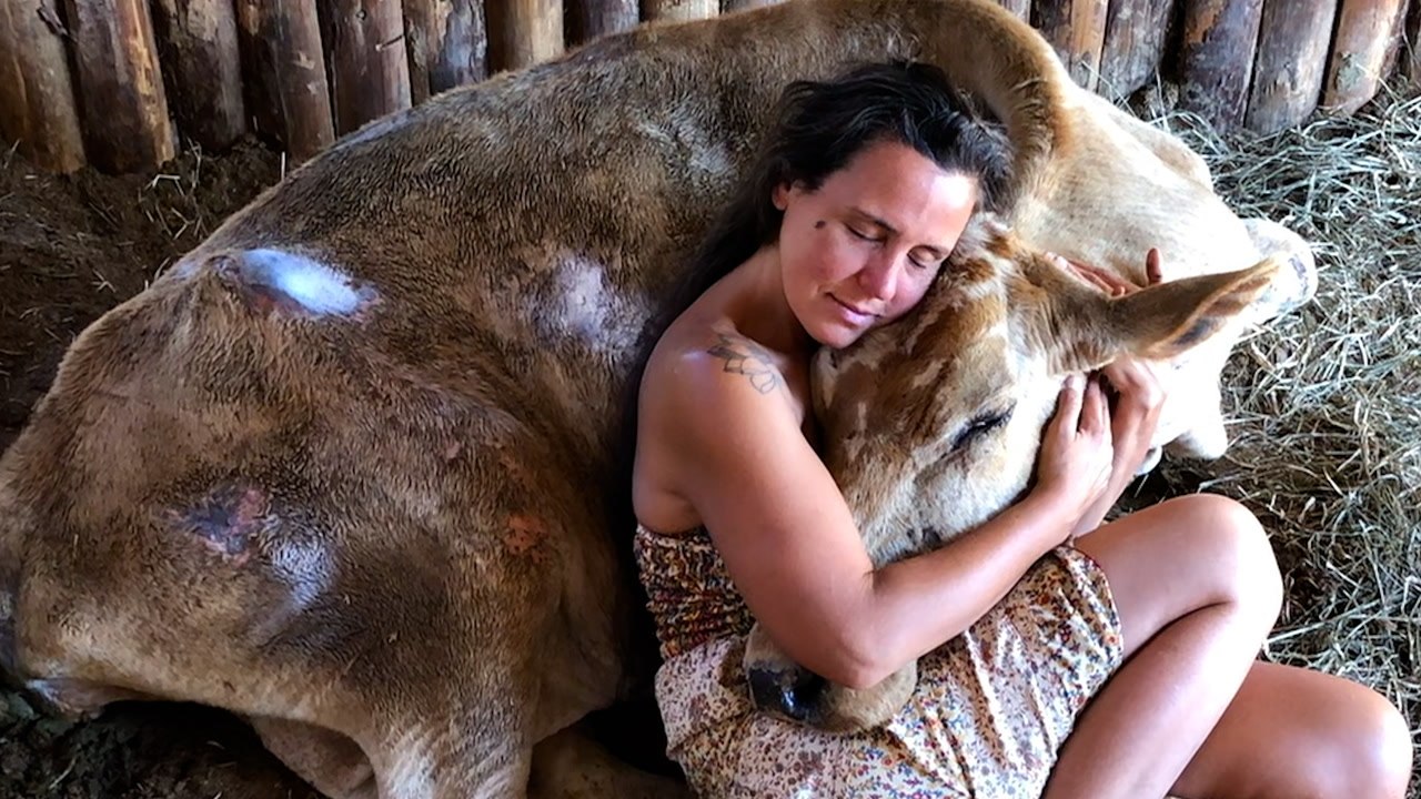 Neglected Cow Melts Into Her Rescuer's Arms - video Dailymotion