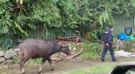 WhatsApp Video 2021-06-30 at 5.00.48 PM